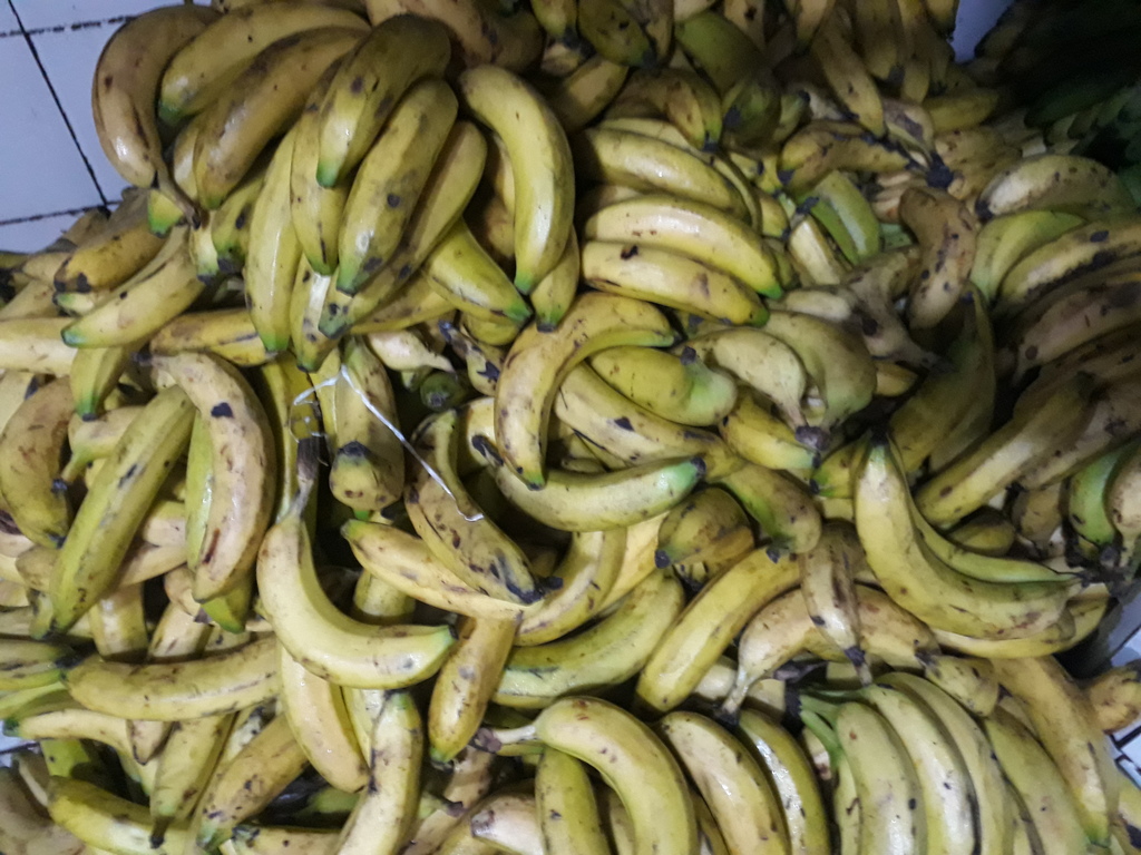 Banano maduro