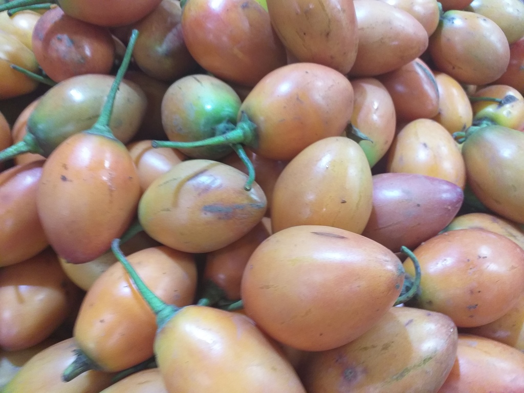 Tomate arbol grueso