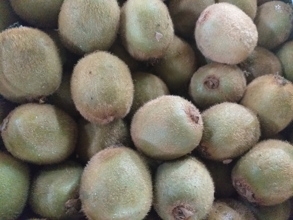 Kiwi