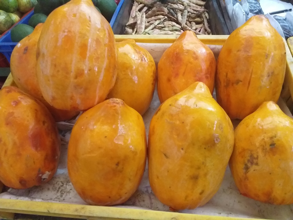Papaya