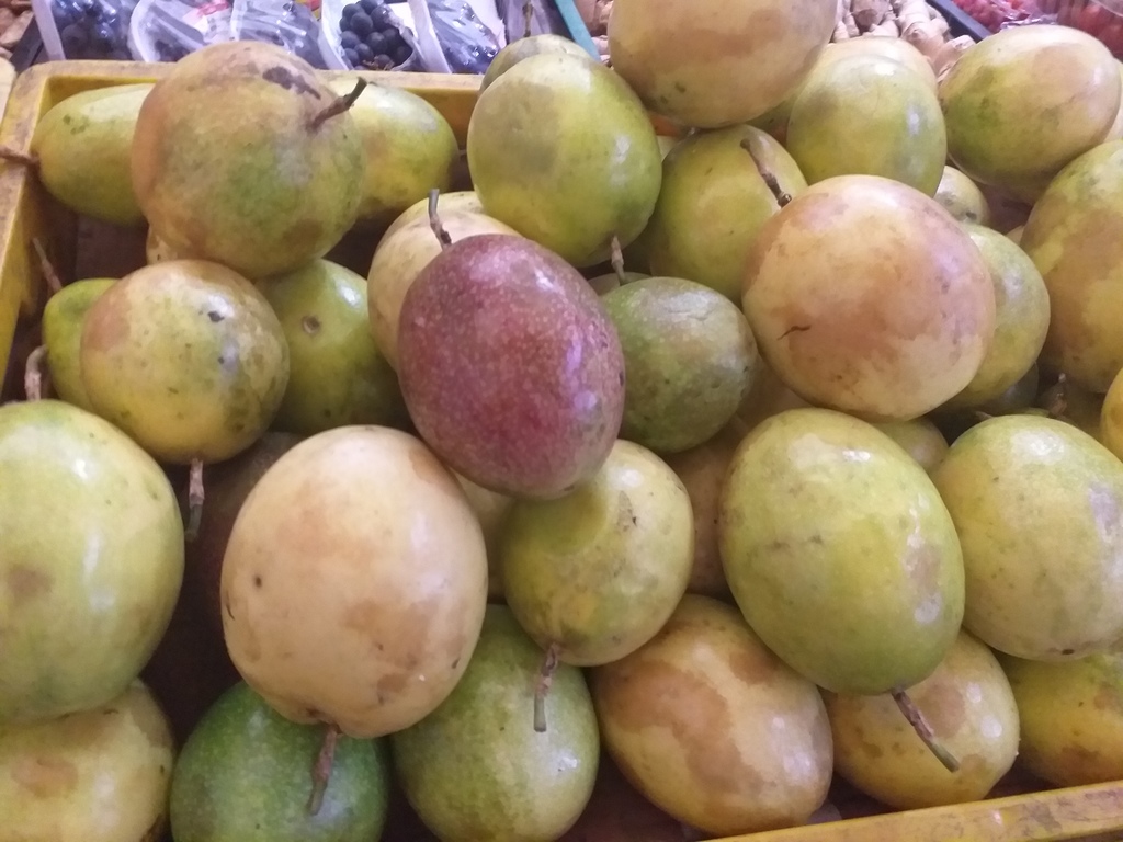 Maracuya