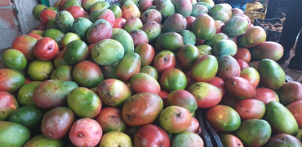 Mango farchi