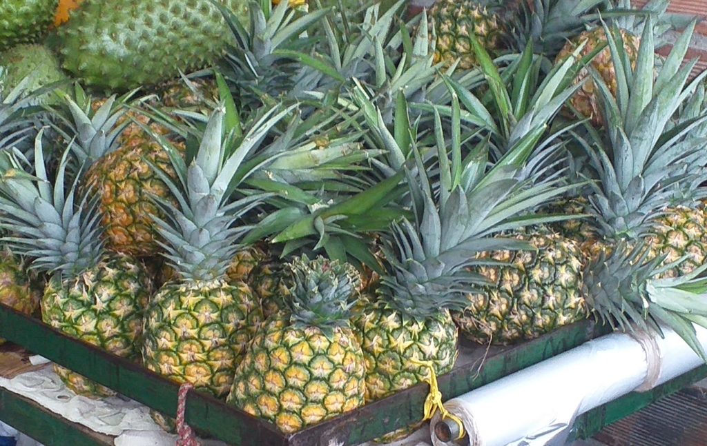 Piña oromiel