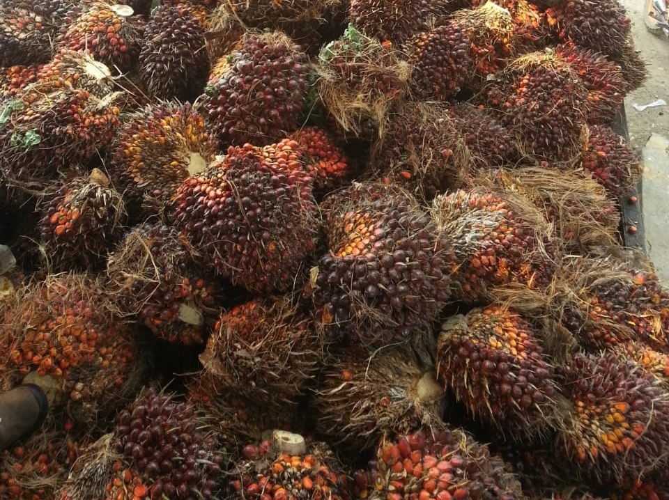 Racimo de fruta fresca