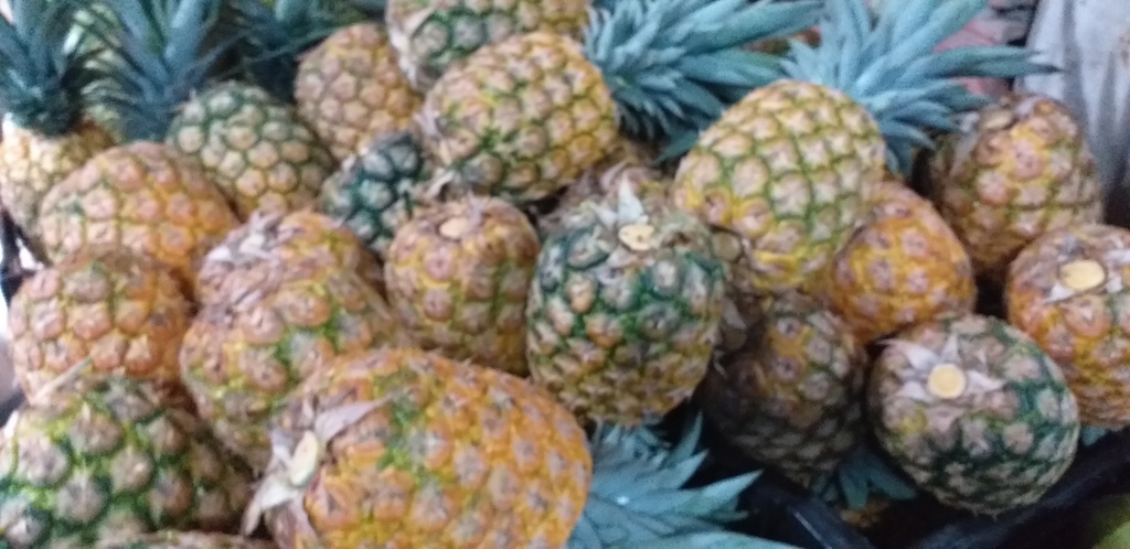 Piña oromiel