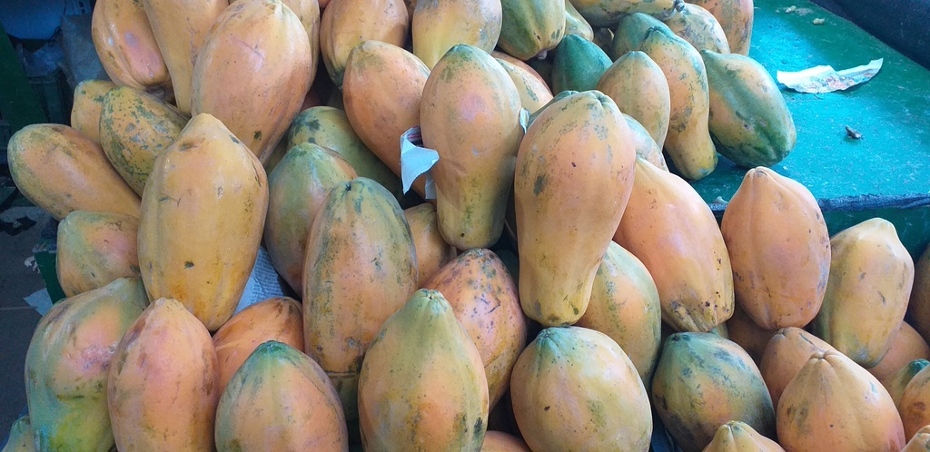 Papaya costeña