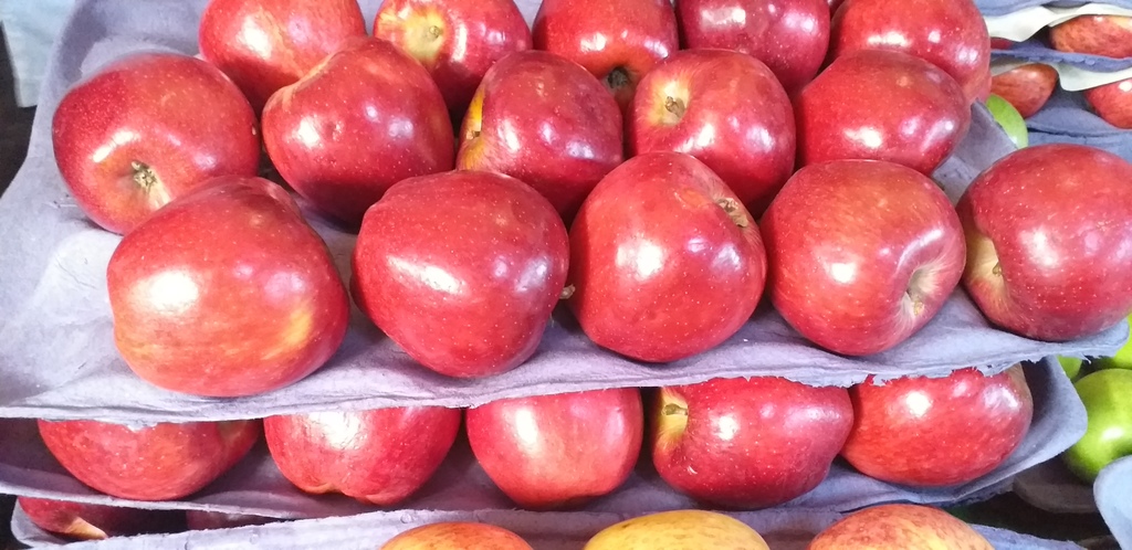 Manzana gala