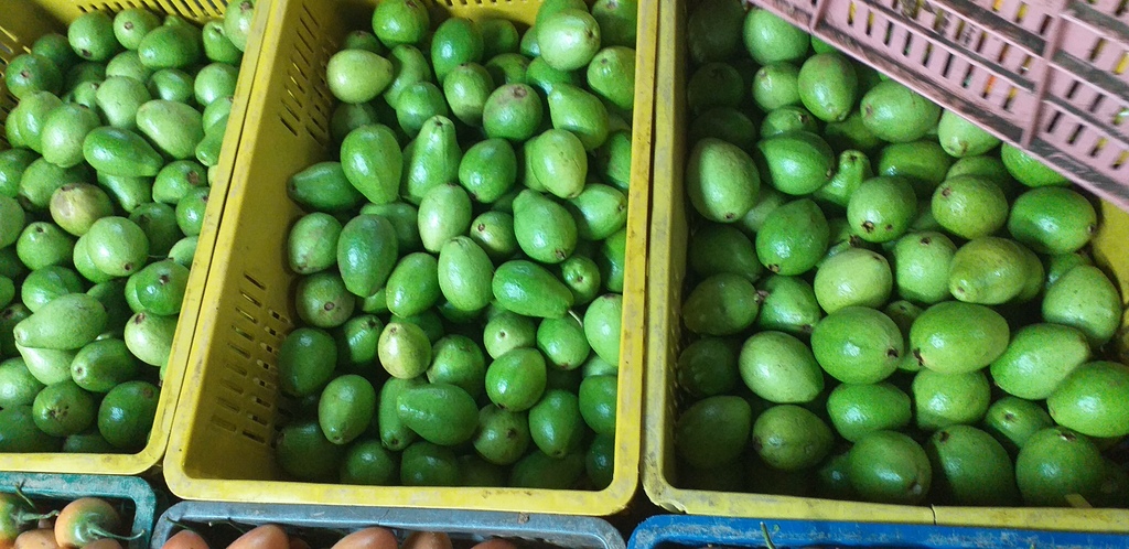 Guayaba pera