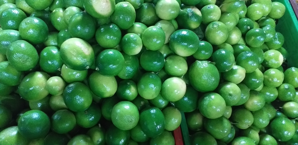 Limon tahiti