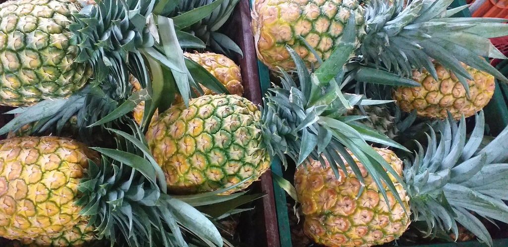 Piña oromiel