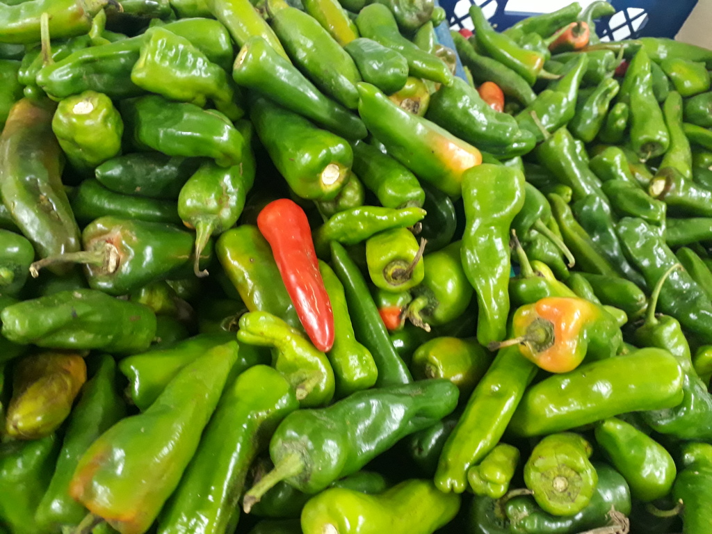 Aji