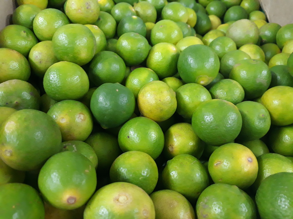 Limón