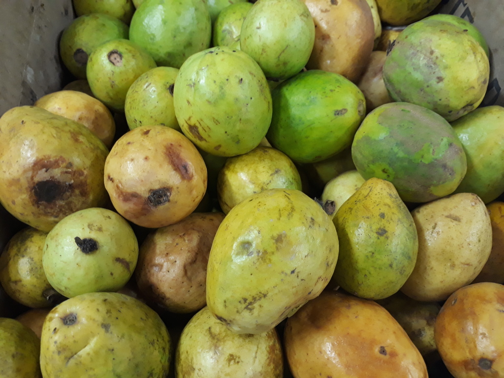 Guayaba dulce