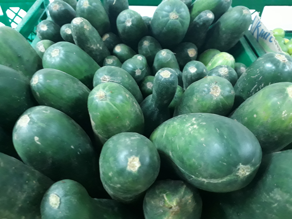 Pepino