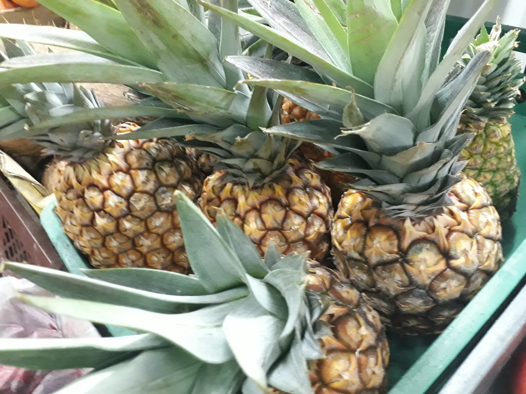 Piña