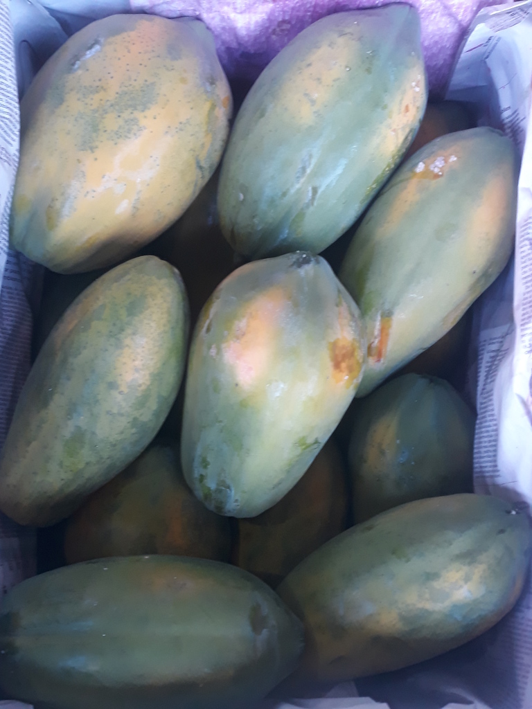 Papaya* 25 kilos