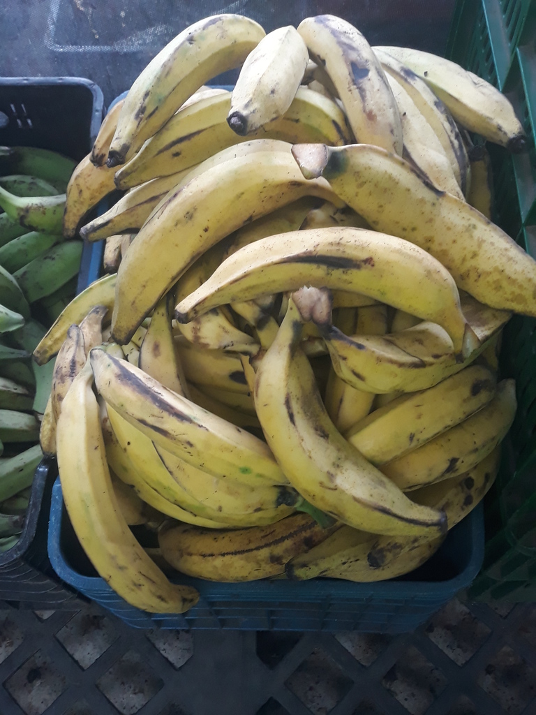 Plátano Maduro