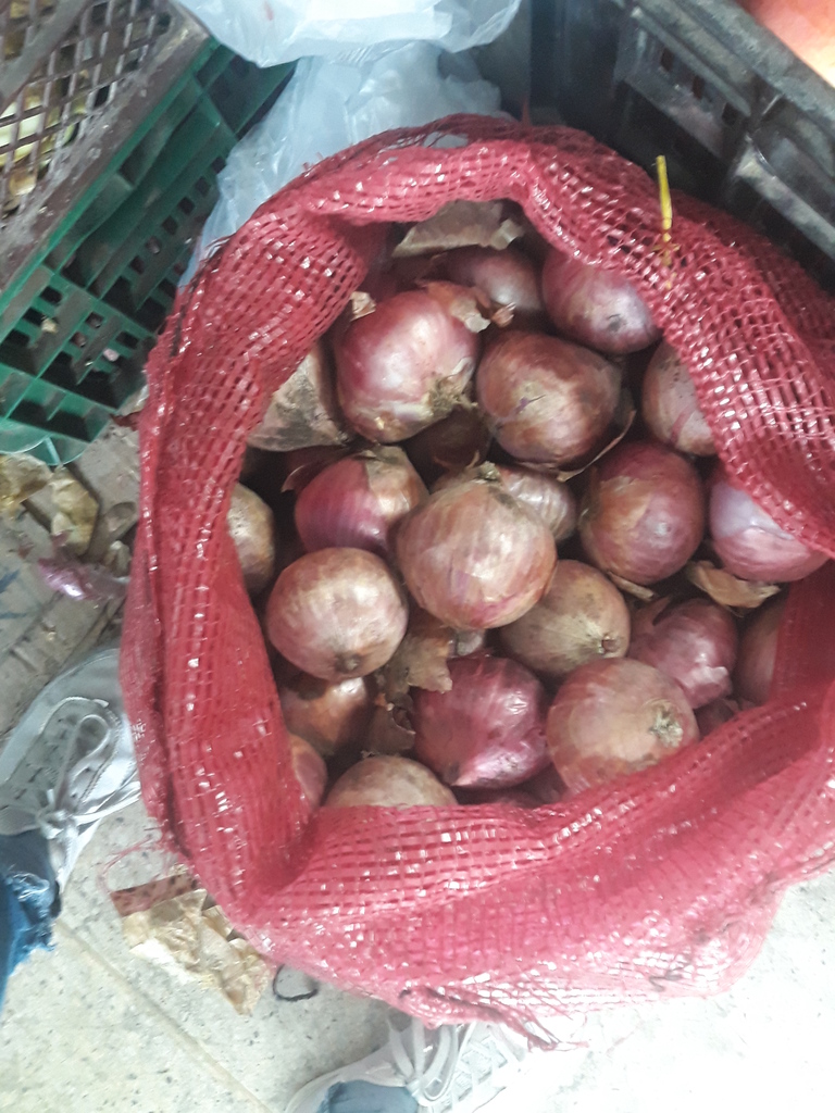 Cebolla de Huevo  roja