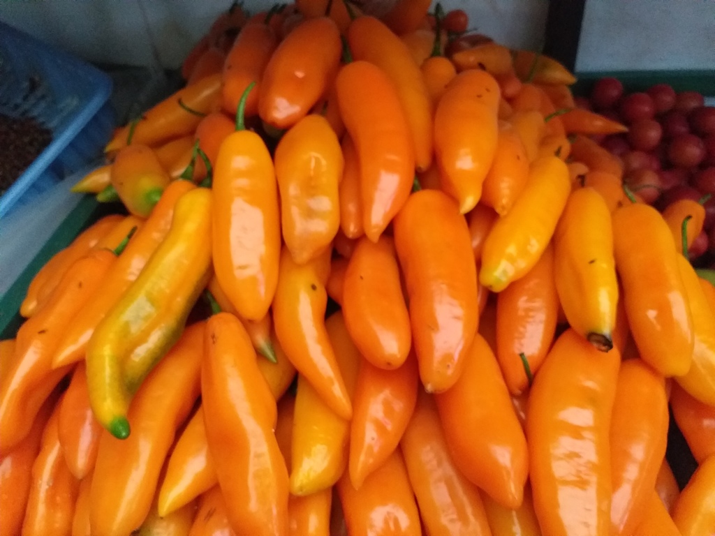 Aji referencia peruano