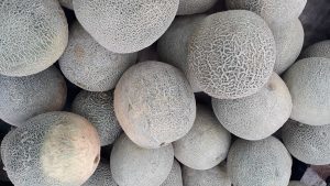 Melón