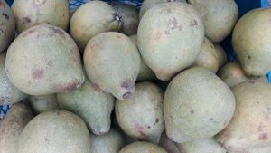 Pomelo