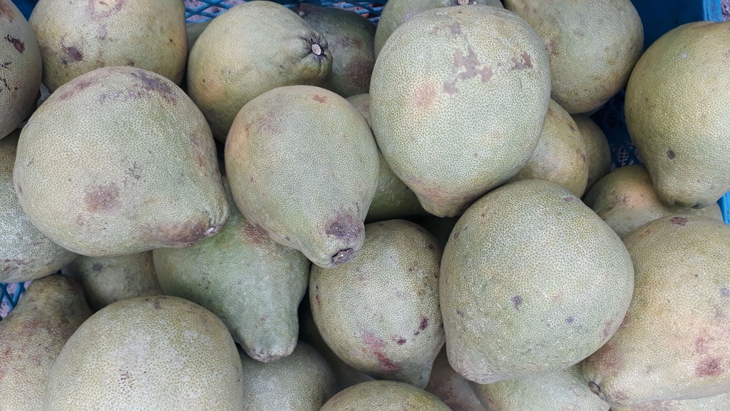Pomelo