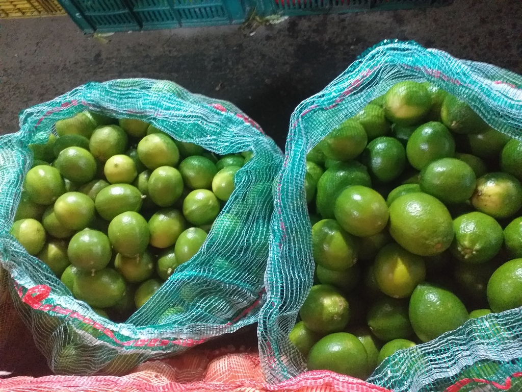 Limon tahiti