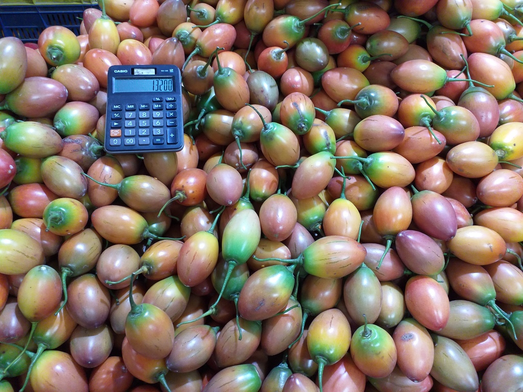 Tomate de arbol