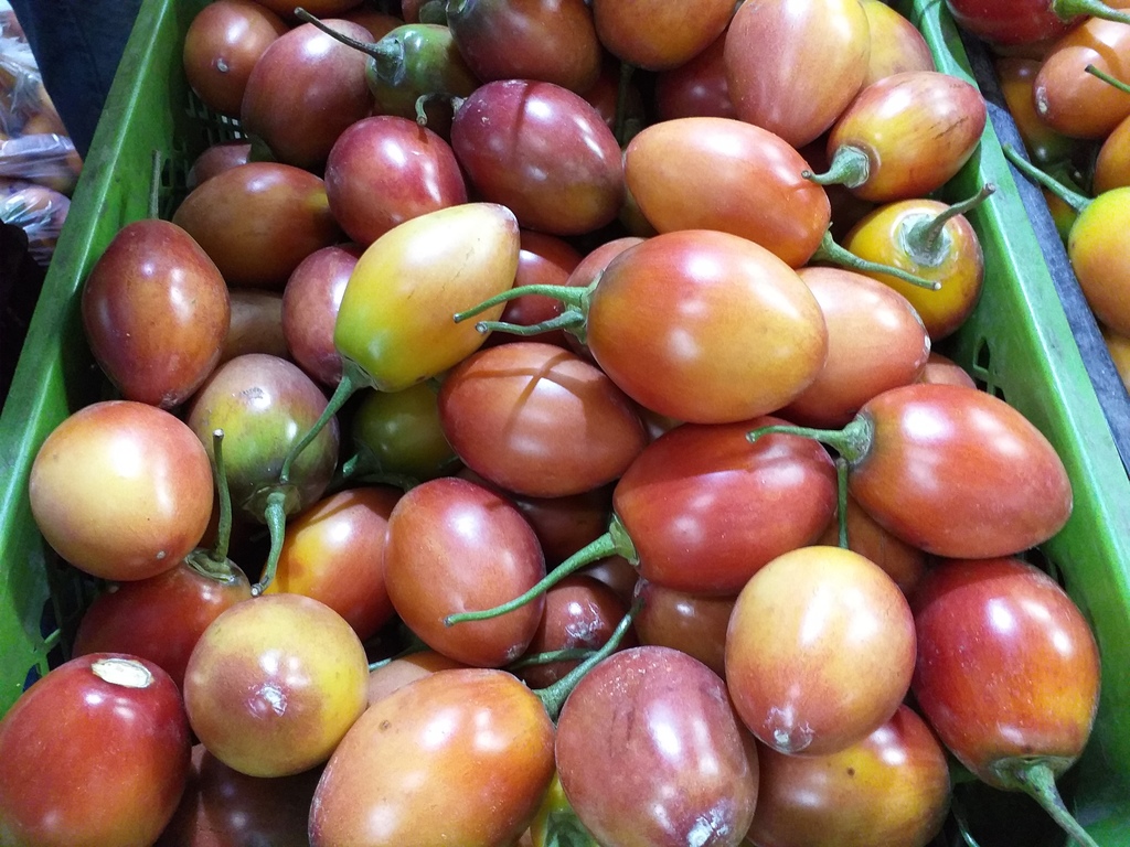 Tomate de arbol de primera