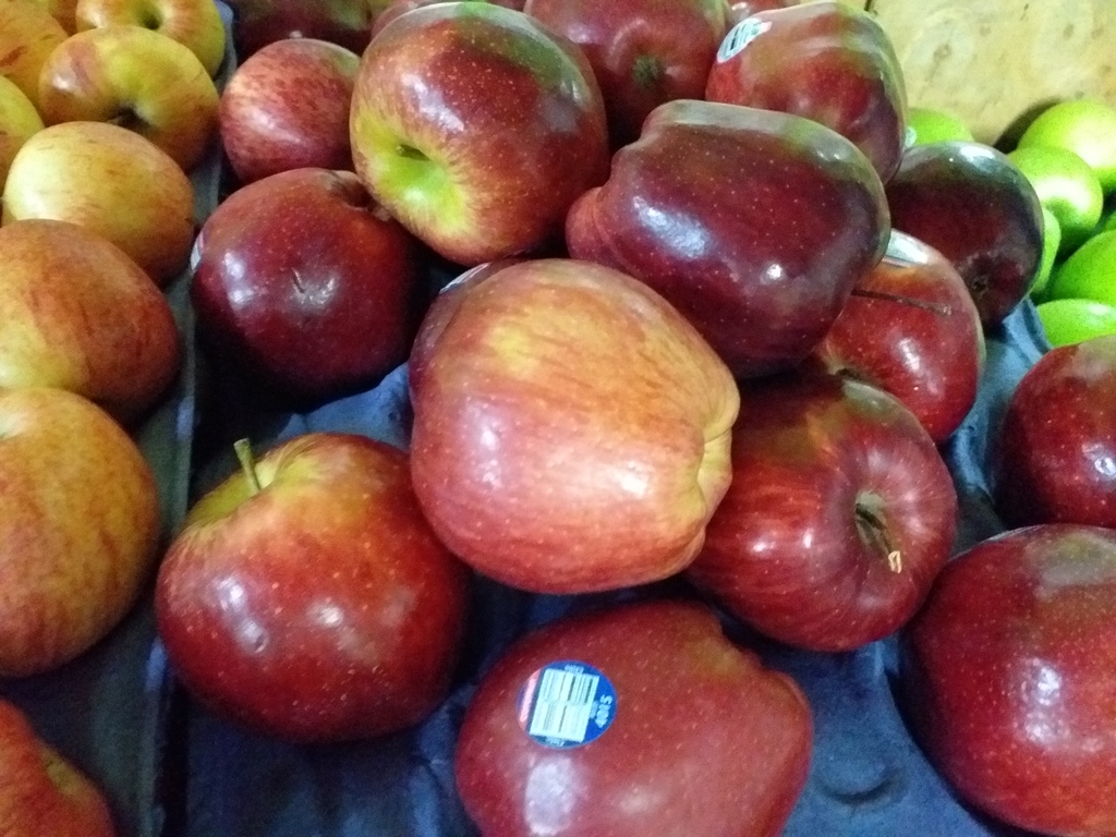 Manzana gala