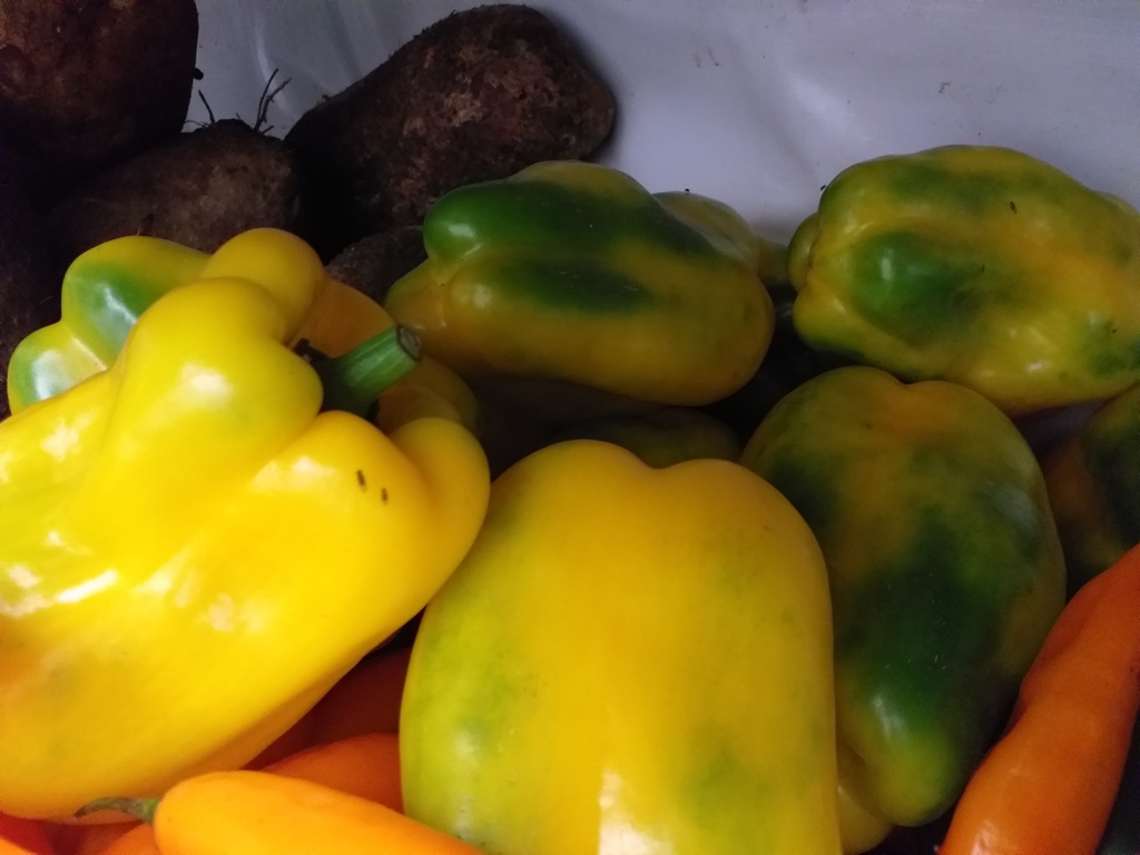 Pimenton amarillo
