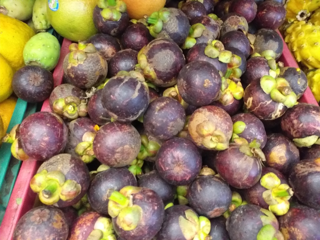 Mangostino
