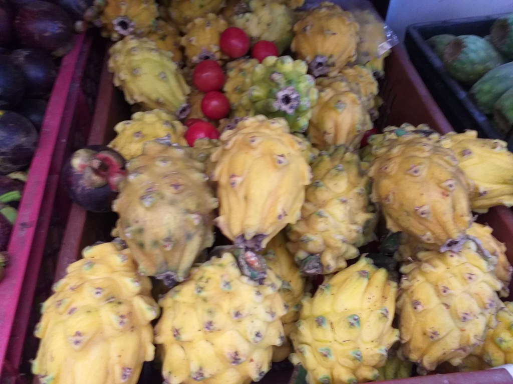 Pitaya