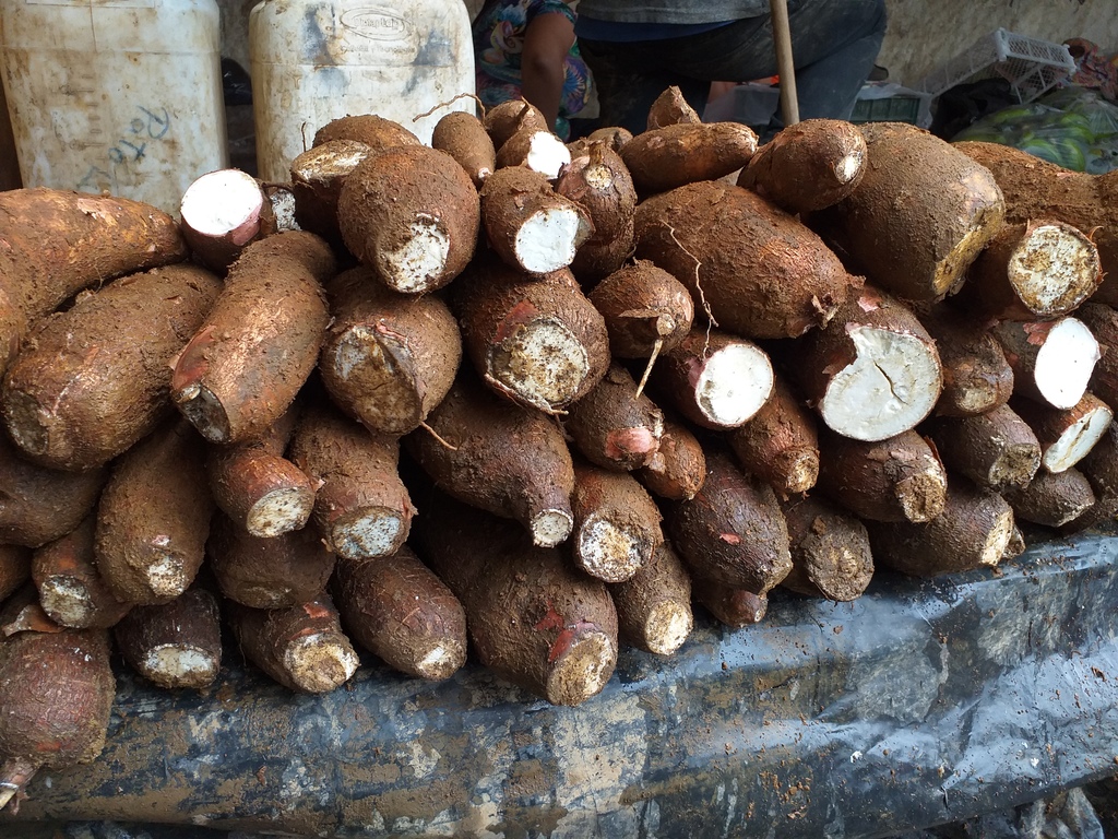 Yuca suelta