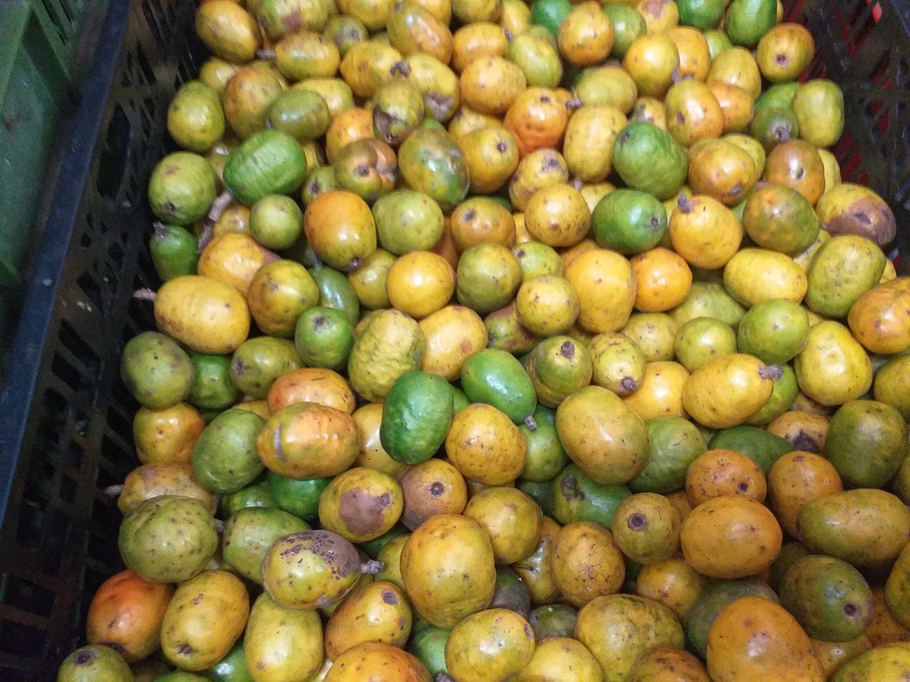 Ciruela