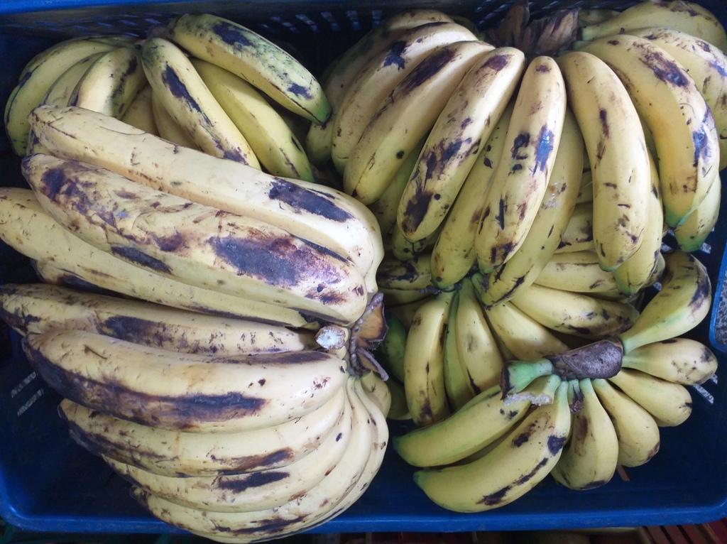 Banano