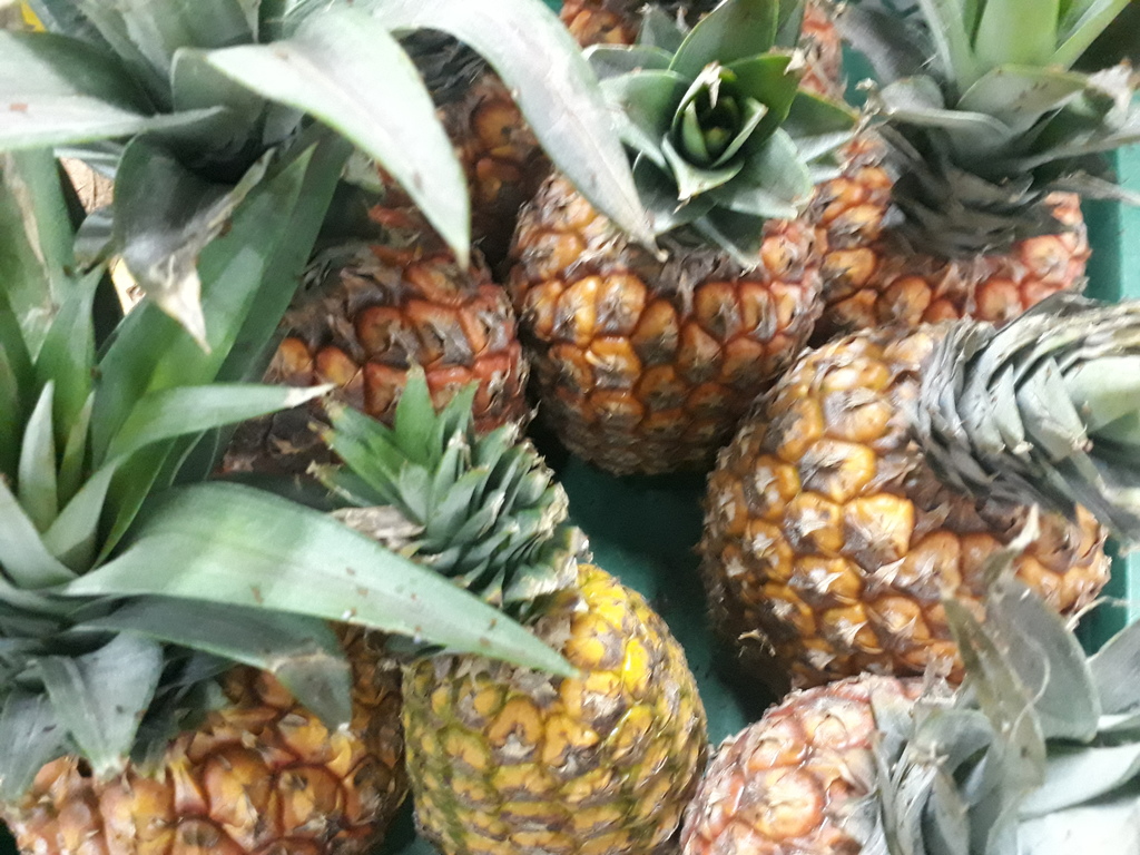 Piña