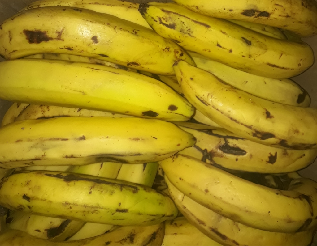 Banano maduro