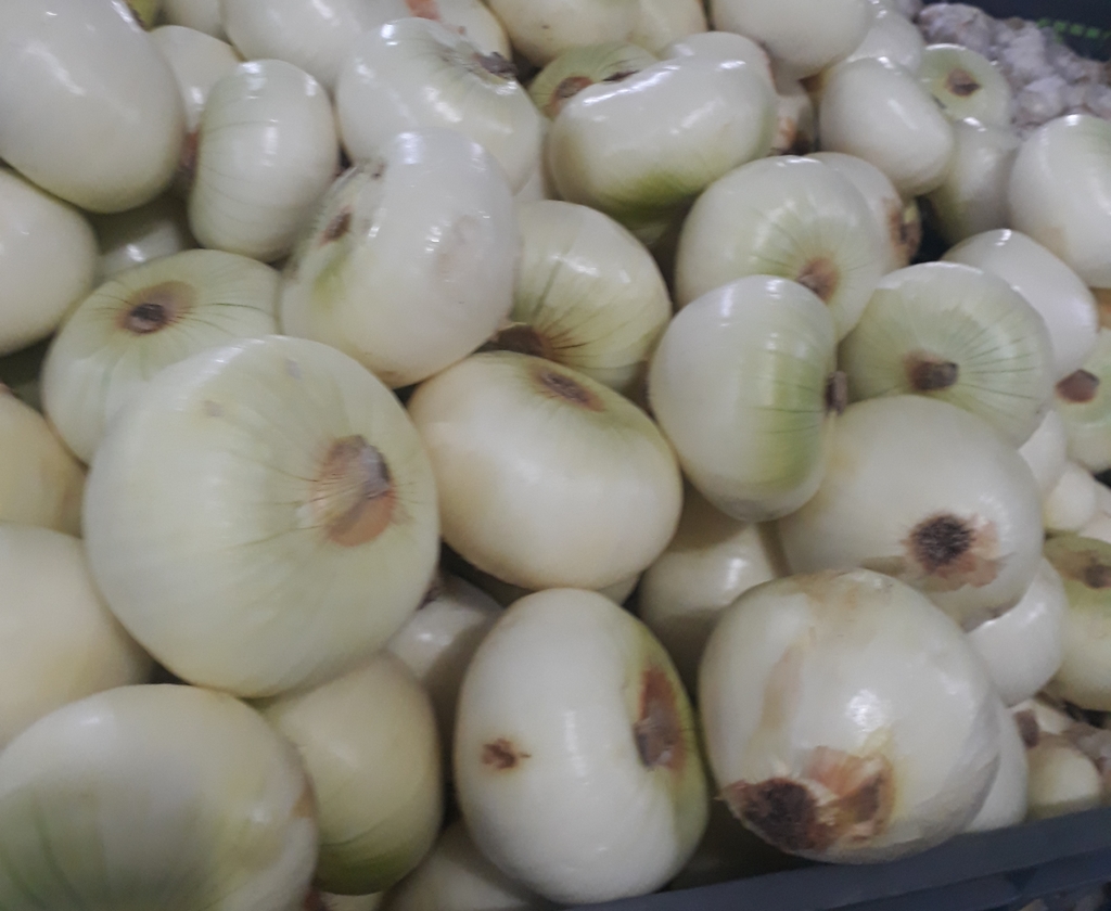 Carne de 1ra de res