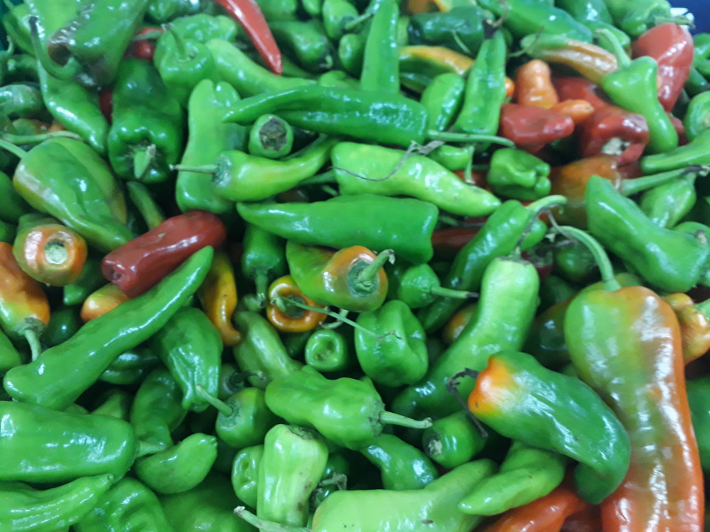 Aji