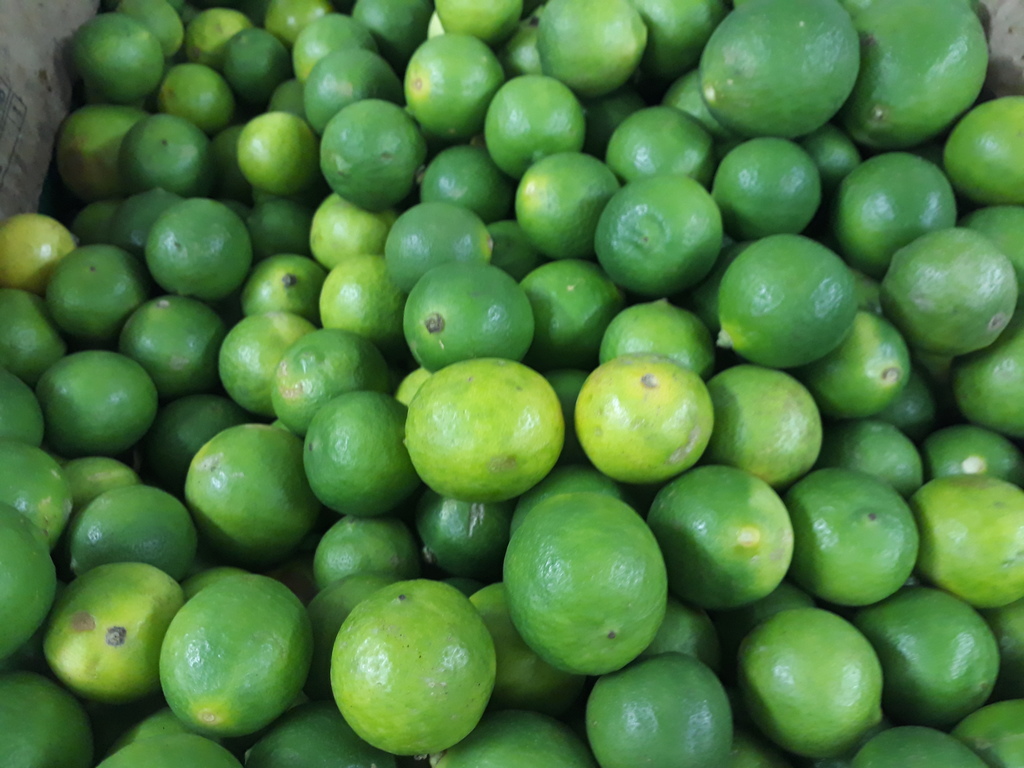 Limón
