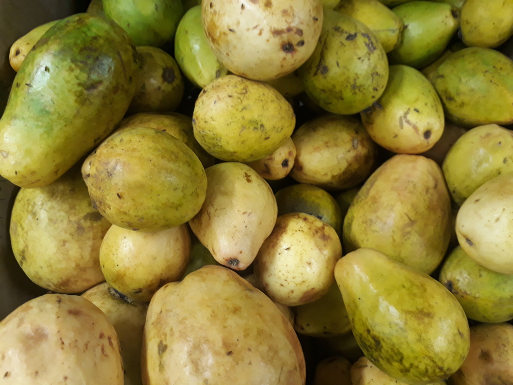 Guayaba dulce