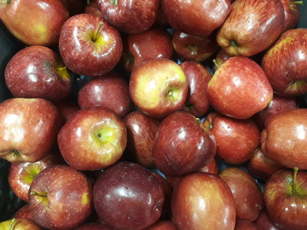 Manzana roja