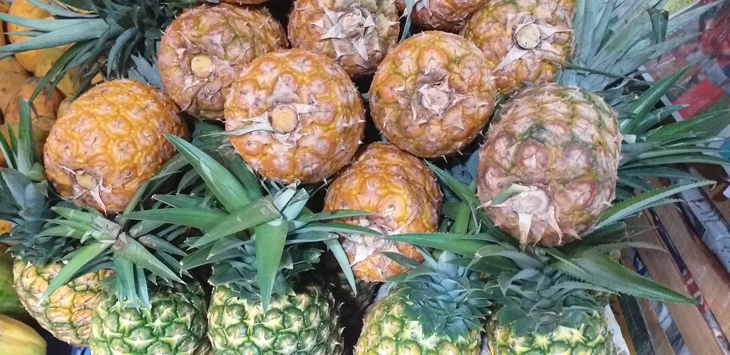 Piña oromiel