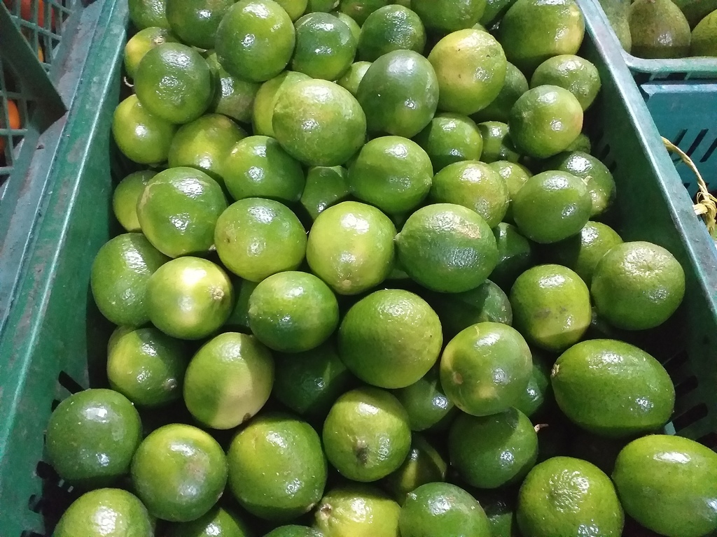 Limon tahiti