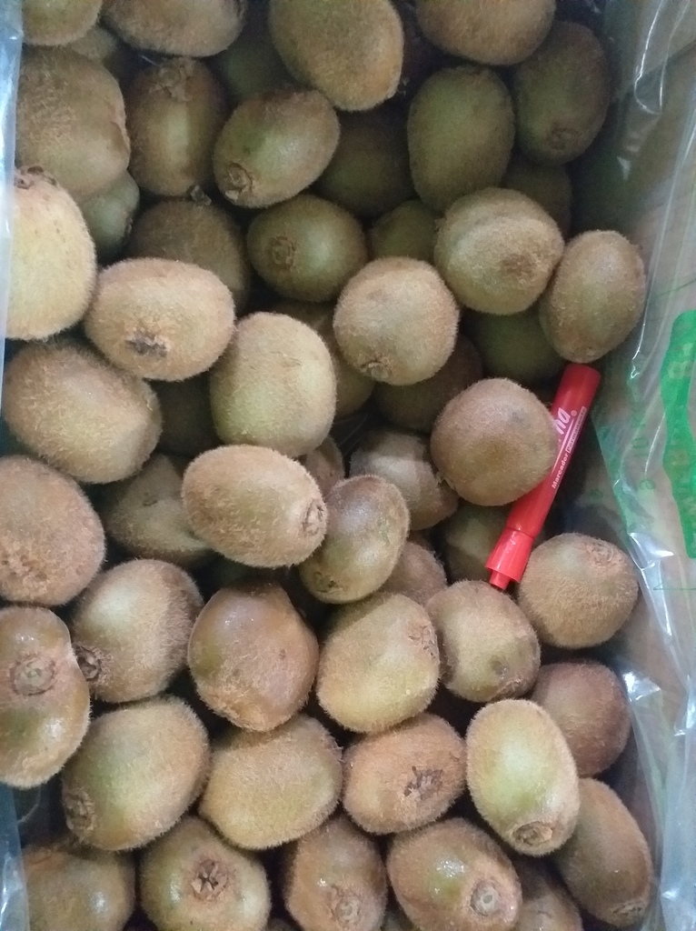 Kiwi