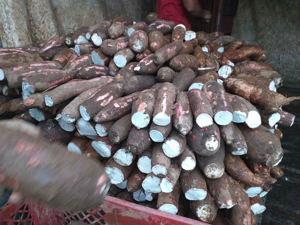 Yuca playera suelta