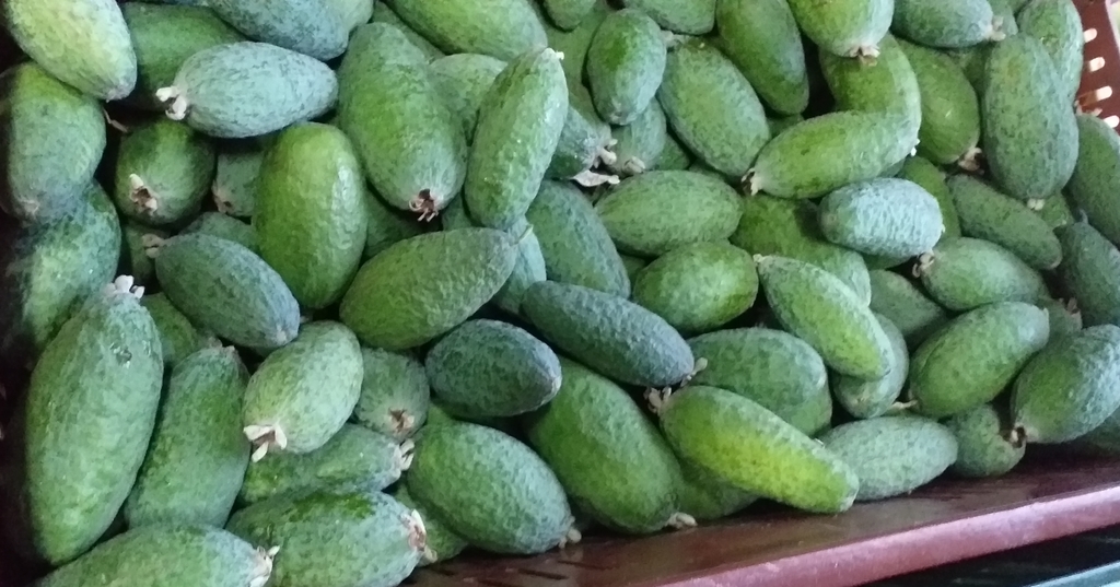 Guayaba feijoa