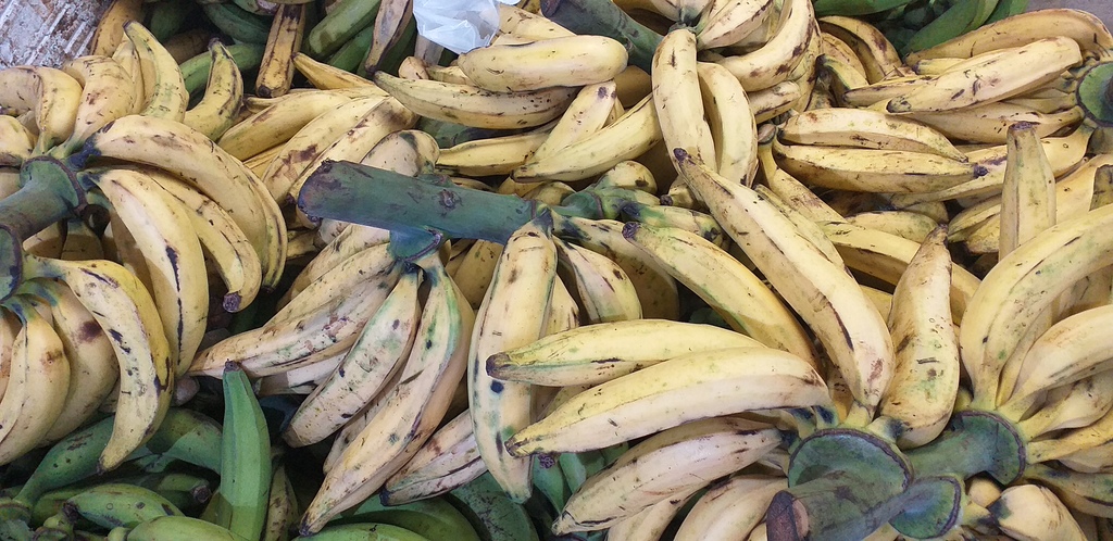 Platano maduro
