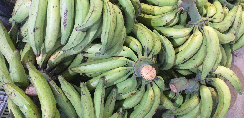 Platano verde